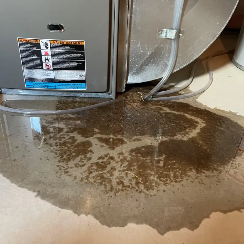 Appliance Leak Cleanup in Barry County, MO