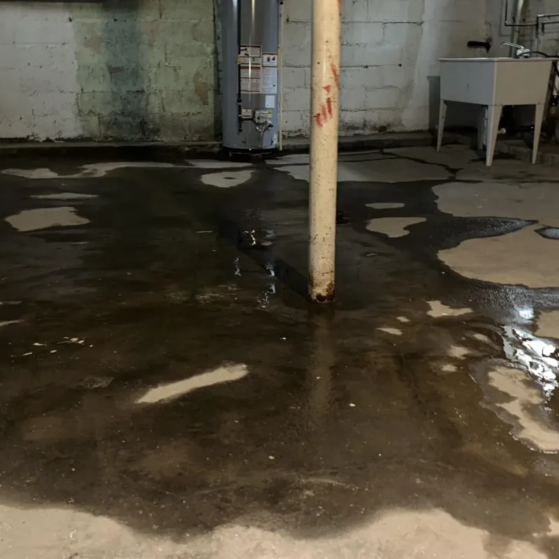 Emergency Water Extraction And Removal in Barry County, MO